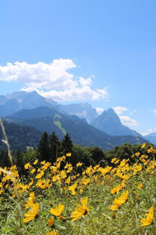 Pfeiffer Alm Am Sonnenhang Mit Blick Auf Die Zugspitze Garmisch-Partenkirchen Buitenkant foto